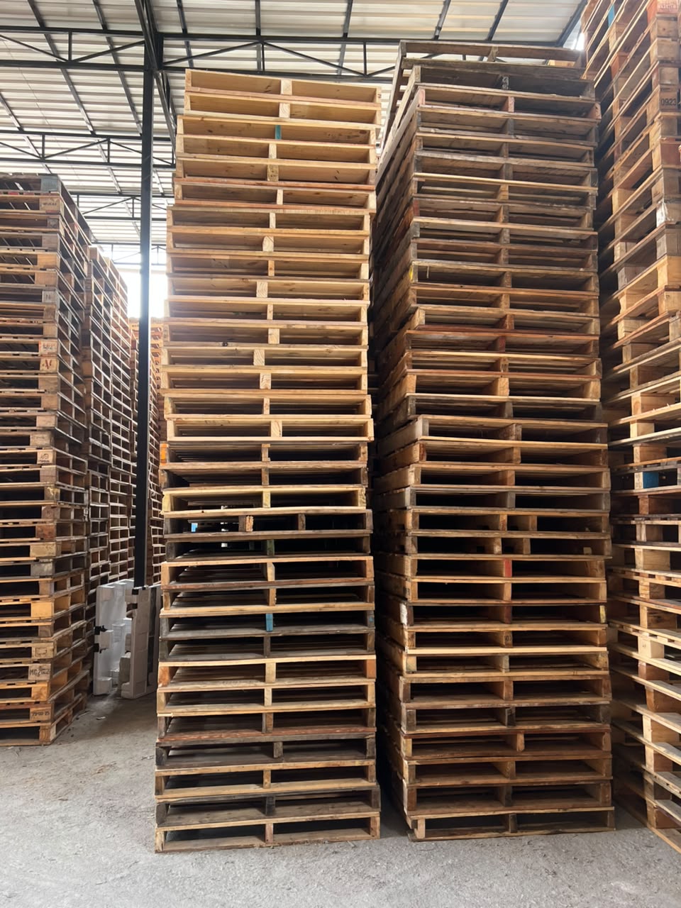 Warehouse Pallet Collection